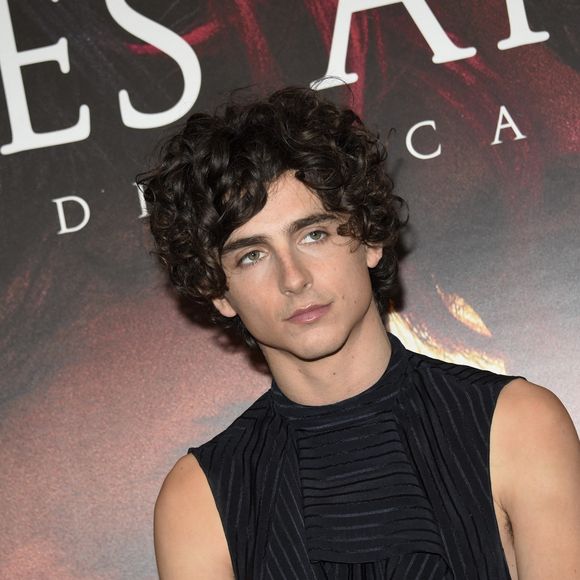 Timothée Chalamet au photocall du film "Bones And All" à Milan, Italie, le 12 novembre 2022.  Celebrities attend the "Bones and All" photocall in Milan, Italy, on November 13, 2022. 