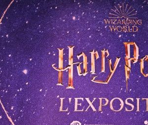 Vite vite, on presse le pas, juste le temps de dire de dire "Wingardium Leviosa" : l'exposition événement du moment s'achève à la Porte de Versailles ce 15 octobre. Il s'agit bien évidemment de l'expo Harry Potter, à l'occasion des 25 ans du plus iconique sorcier de l'histoire de la pop culture.
