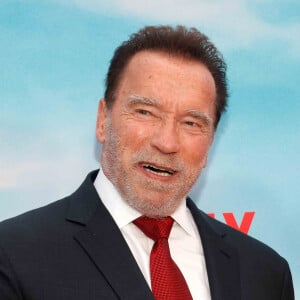 Arnold Schwarzenegger à la première du film "Fubar" à Los Angeles, le 22 mai 2023.