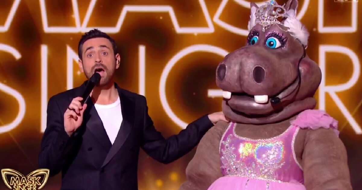 Mask Singer 2024 comme Inès Reg, tout le monde a déjà démasqué l