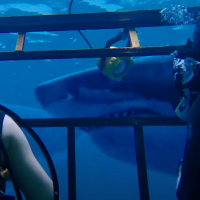 Cet autre film de requins dispo sur Netflix va vous passer l'envie de vous baigner cet été, et ce n'est pas Sous la Seine