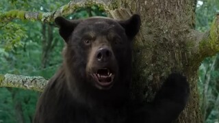 C'est le film le plus barré du moment sur Netflix, Crazy Bear pourrait avoir une suite