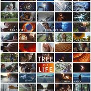 Festival de Cannes 2011 ... le favori pour la Palme d&#039;Or est ... The Tree of Life
