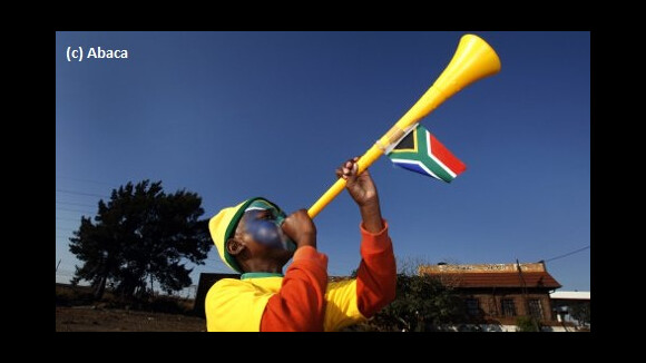 Tweet, vuvuzela, cougar ... Les nouveaux mots du dico en vidéo