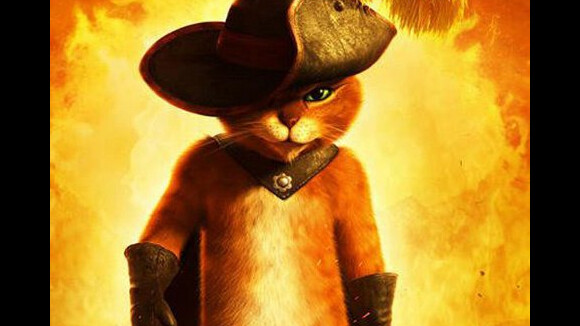 Le Chat Potté ... Une nouvelle bande annonce et une affiche