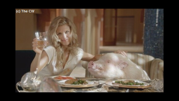 90210 saison 4 : défis et rapprochements (SPOILER)