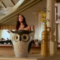 Desperate Housewives saison 8 : Teri Hatcher cuisine nue (VIDEO)