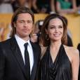 Brad Pitt et Angelina Jolie ne sont pas le it couple !