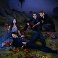 Vampire Diaries saison 4 : la bande annonce a de drôles d&#039;effets sur les fans !