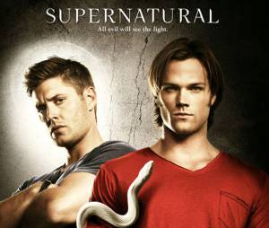 Les frères Winchester accueillent un ange dans la saison 8 de Supernatural