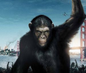 La suite de La planète des singes : les origines cherche son réalisateur !