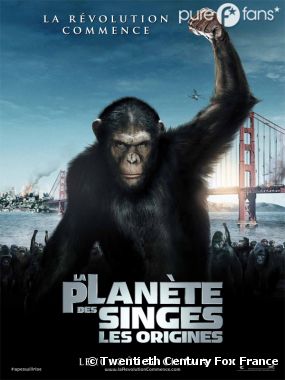 La suite de La planète des singes : les origines cherche son réalisateur !