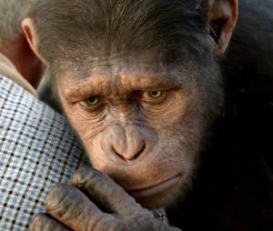 Andy Serkis sera de retour pour prêter ses traits à Caesar