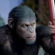  L'Aube de la Planète des singes  sortira en mai 2014 aux US