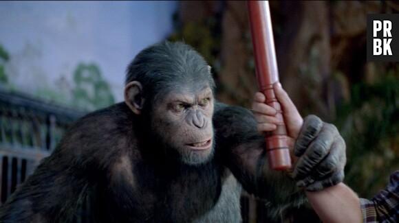 L'Aube de la Planète des singes sortira en mai 2014 aux US