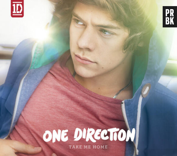 One direction : Harry Styles sur Take Me Home
