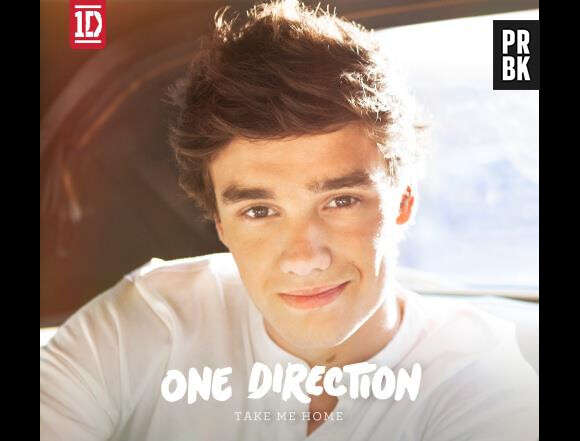 One direction : Liam Payne, un sourire ravageur sur Take Me Home