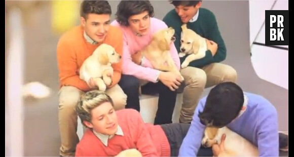 One Direction : Avec des petits chiots, ils sont encore plus beaux !