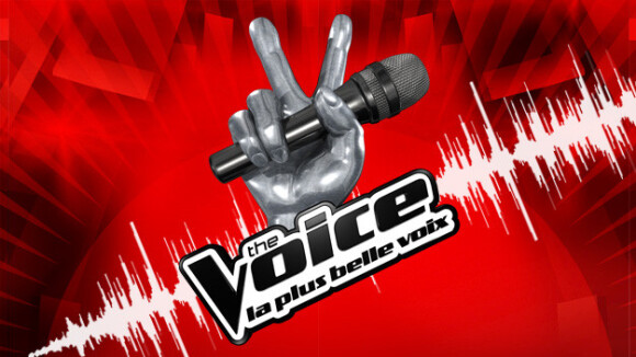 The Voice 2 : Une ex des L5 virée des auditions ! La loose...