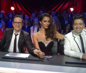 Enfin un peu de sérieux dans le jury de Danse avec les stars !