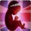 @royalfetus, le faux compte Twitter du bébé de Kate Middleton !