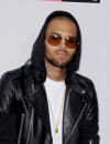 Chris Brown a passé une soirée avec Karrueche Tran !