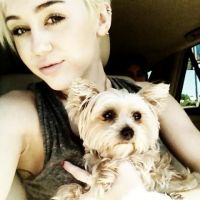Miley Cyrus : terrible révélation sur la mort de son chien !