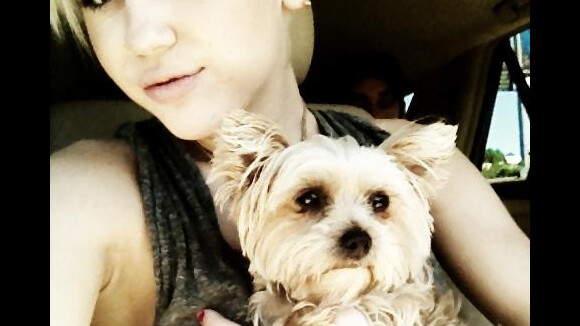 Miley Cyrus : terrible révélation sur la mort de son chien !