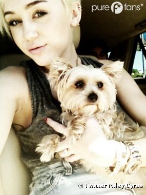 Miley Cyrus a perdu son chien dans d'horribles circonstances !