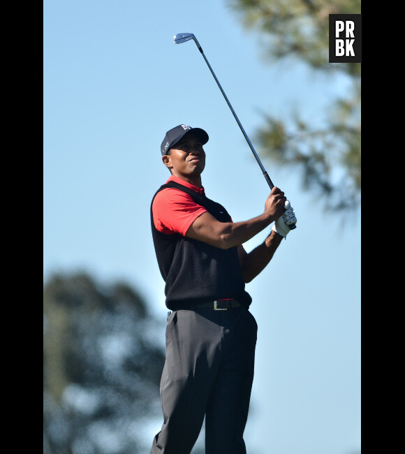 Tiger Woods a toujours une sale image