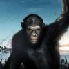 La suite de La planète des singes : les origines est très mouvementée