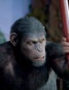  L'Aube de la Planète des singes  sortira en mai 2014 aux US