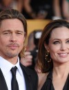 Brad Pitt et Angelina Jolie commercialisent leur vin français
