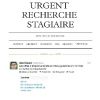 Le Tumblr "Urgent Recherche Stagiaire" s'amuse à répertorier depuis quelques années déjà les pires offres de stages.