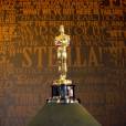 Qui remportera une statuette lors des Oscars 2014 ?
