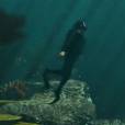 GTA 5 nous réserve quelques escapades sous-marines