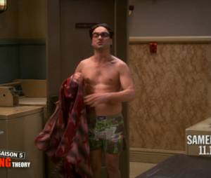 The Big Bang Theory saison 5 : que va faire Leonard cette saison ?