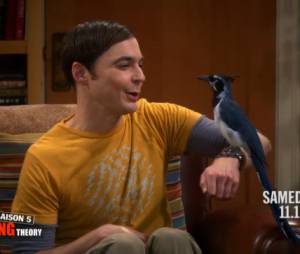 The Big Bang Theory saison 5 : Sheldon va se faire un nouvel ami