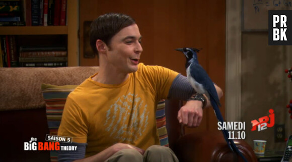 The Big Bang Theory saison 5 : Sheldon va se faire un nouvel ami