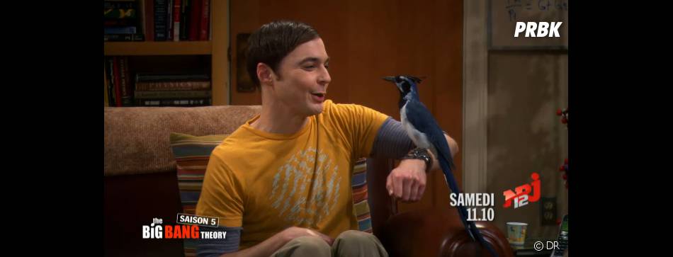 The Big Bang Theory saison 5 : Sheldon va se faire un nouvel ami