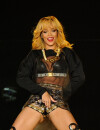 Rihanna a voulu prendre un bain de foule pendant son concert de Birmingham