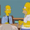 Les Simpson : Homer en terroriste