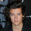Harry Styles : insulté par Taylor Swift aux MTV VMA 2013