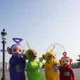 Les Télétubbies à la rue : les prairies volontairement inondées ...