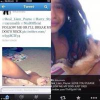 One Direction : ils ne l&#039;ont pas suivie sur Twitter, elle tue son chien