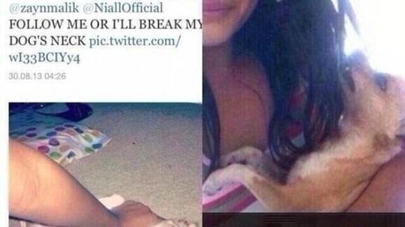 One Direction : ils ne l'ont pas suivie sur Twitter, elle tue son chien