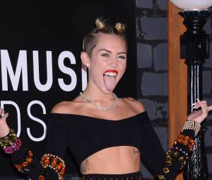 Miley Cyrus : son attitude trash ne plaît pas à Pink