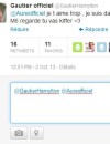Retour au Pensionnat à la campagne : déclaration d'amour de Gautier à Aurélie Dotremont sur Twitter.