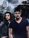Teen Wolf renouvelée par MTV pour une saison 4