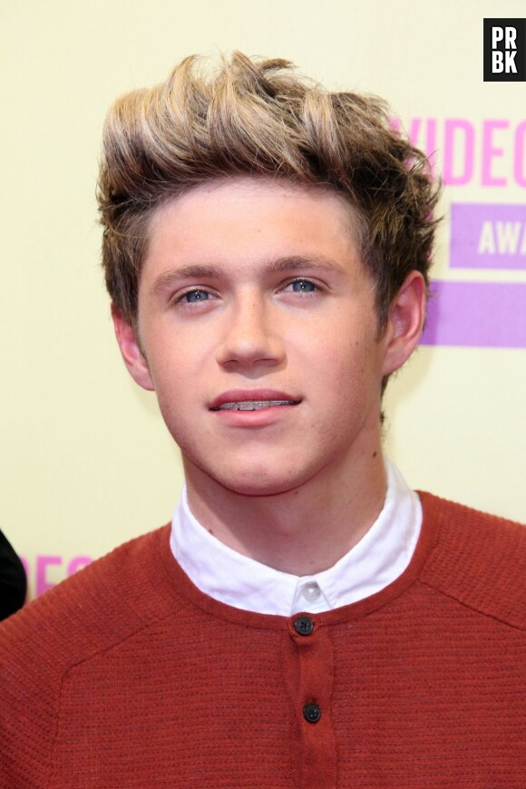 Niall Horan : le One Direction en pince pour Katy Perry.